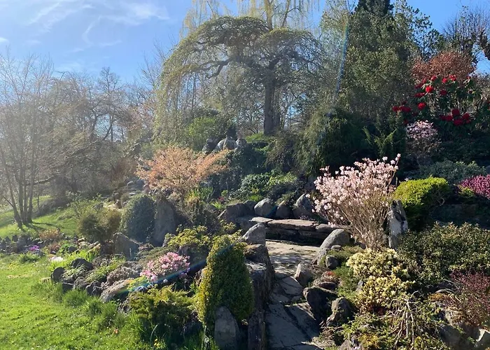 公寓 Moldegaard - B Moldegard